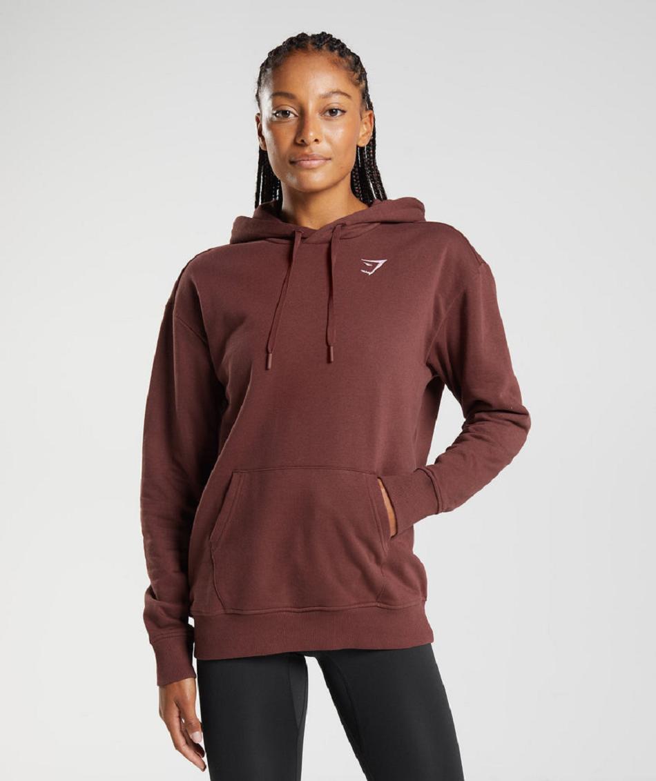 Bluzy Z Kapturem Damskie Gymshark Treningowe Boyfriend Różowe Brązowe | PL 2727MQZ